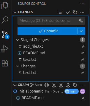 Source Control panel, files status