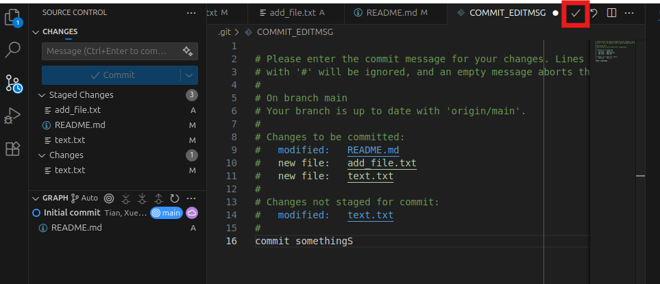 Source Control panel, commit message