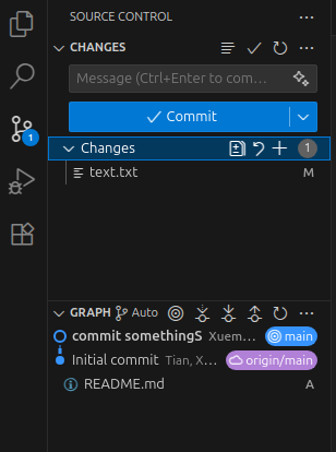 Source Control panel, new push shown in GRAPH