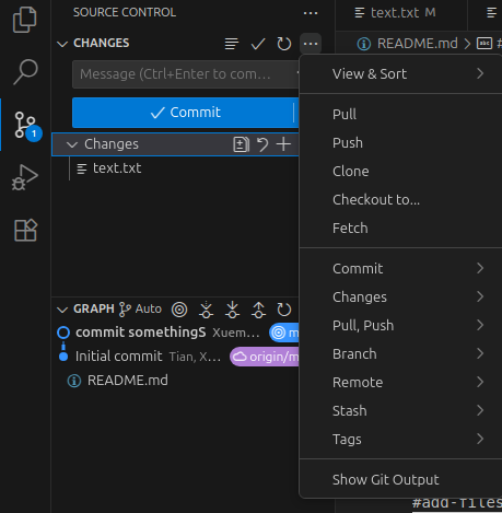 Source Control panel, git pull