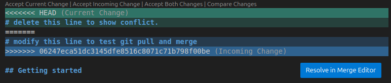 Source Control panel, conflicts in two branches